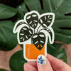 Monstera Adansonii Sticker