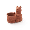 Rakshana Bear Planter
