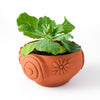 Rakshana Snail Planter