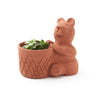 Rakshana Bear Planter