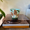 6" Mushie Pot: Sky Blue w/ Morels