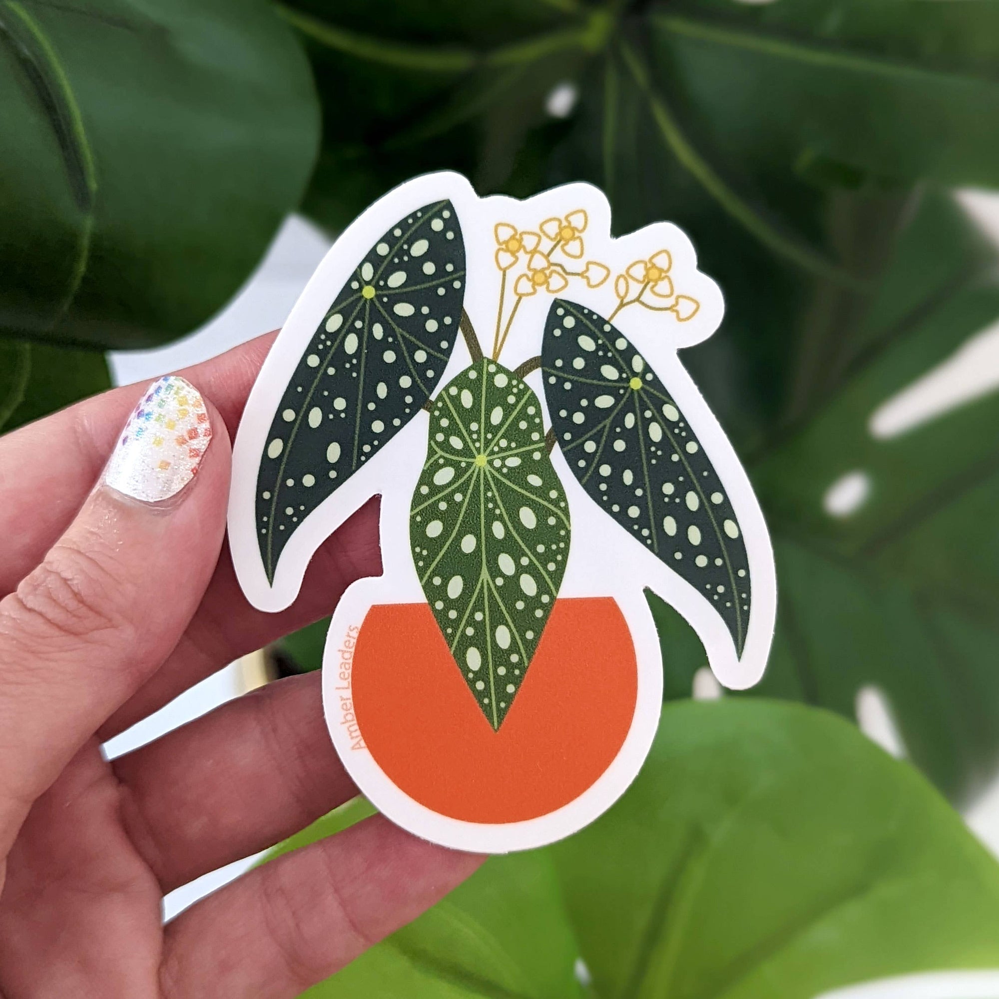 Polka Dot Begonia Sticker