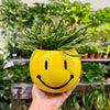 3.25” Yellow Smiley Face Planter