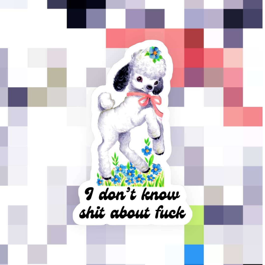 I Don’t Know Sh*t About F*ck Sticker