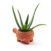 Rakshana Turtle Planter