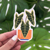 Alocasia Sticker