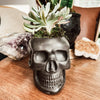 Resting Plant Face - 3.75" Concrete Skull Planter: Teracotta / No Drainage