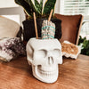 Resting Plant Face - 3.75" Concrete Skull Planter: Teracotta / No Drainage