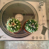 2.5” Stenocactus Multicostatus