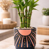 Blue/Pink Sunshine Planter