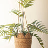 Woven Seagrass Hanging Planter