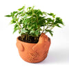 Rakshana Chicken Plant Pot