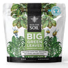Big Green Leaves