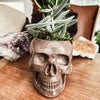 Resting Plant Face - 3.75" Concrete Skull Planter: Teracotta / No Drainage
