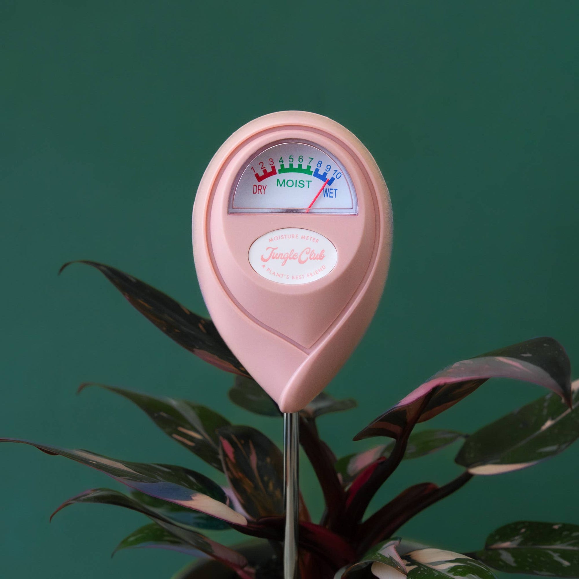 Moisture Meter | Pink