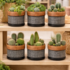 Black & Tan Geometric Planter