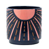 Blue/Pink Sunshine Planter