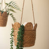 Woven Seagrass Hanging Planter