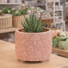3.75” Pink Mushroom Footed Planter