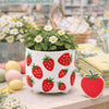 3.75” Strawberry Ceramic Planter