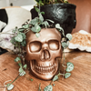 Resting Plant Face - 3.75" Concrete Skull Planter: Teracotta / No Drainage