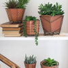 Kalalou - SET OF FIVE TERRACOTTA PLANTERS W WIRE WRAP & BRASS DETAIL: Orange / Terracotta/Wire / X-Large: 7" x 6.5" x 5.5"t; 
Large: 6" x 5.5" x 4"t; 
Medium: 6" x 5" x 4"t; 
Small: 5" x 5" x 4.5"t; 
X-Small: 4" x 5.5" x 2.5"t