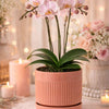 4.75” Coral Ribbed Planter with Saucer