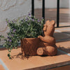 Rakshana Bear Planter