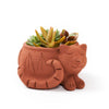 Rakshana Cat Planter