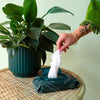 Plant Cleansing Wipes