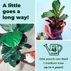 Fiddle Leaf Treats