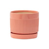 4.75” Coral Ribbed Planter with Saucer