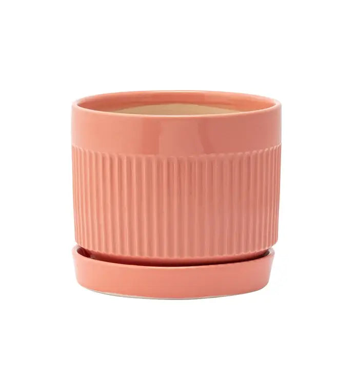 4.75” Coral Ribbed Planter with Saucer