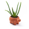 Rakshana Turtle Planter