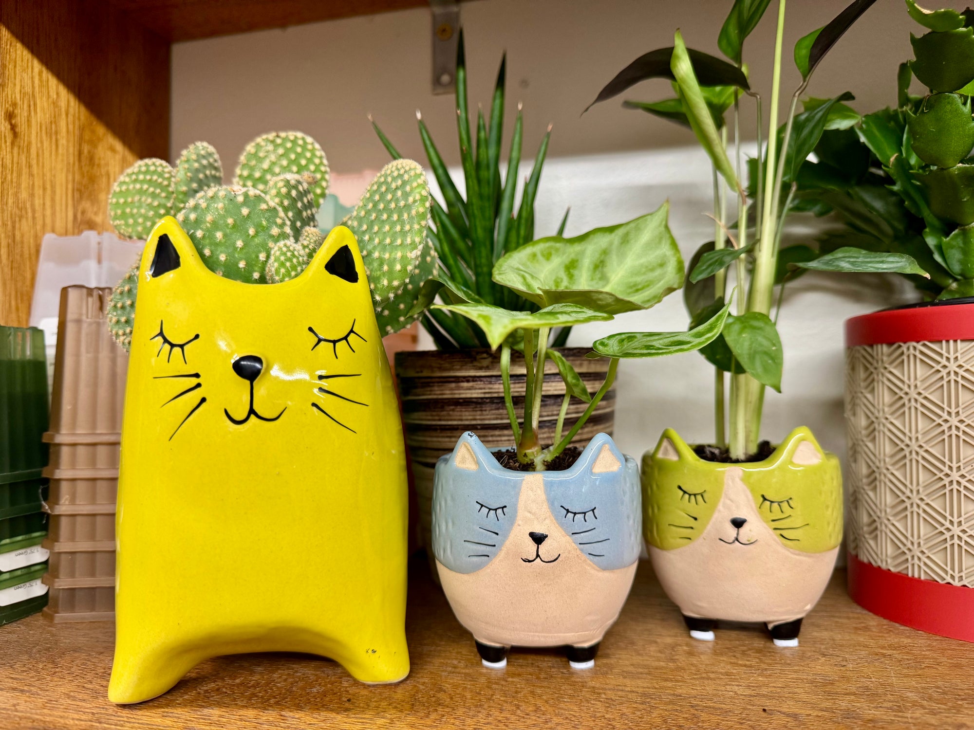 3” Blue Cat Planter