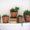 Kalalou - SET OF FIVE TERRACOTTA PLANTERS W WIRE WRAP & BRASS DETAIL: Orange / Terracotta/Wire / X-Large: 7" x 6.5" x 5.5"t; 
Large: 6" x 5.5" x 4"t; 
Medium: 6" x 5" x 4"t; 
Small: 5" x 5" x 4.5"t; 
X-Small: 4" x 5.5" x 2.5"t