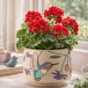 5” Hummingbird Planter