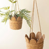 Woven Seagrass Hanging Planter
