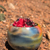 Resting Plant Face - 3” Nebula Globe Concrete Pot: Drainage