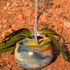 Resting Plant Face - 3.25” Nebula Globe Concrete Pot: Drainage