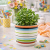 Multicolored Striped Planter with Saucer