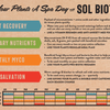 Sol Biotics - Repot Recovery