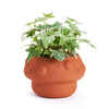 Rakshana Mushroom Planter