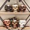 Resting Plant Face - 3.75" Concrete Skull Planter: Teracotta / No Drainage