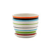 Multicolored Striped Planter with Saucer