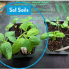 Seedling & Propagation Mix