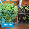 Seedling & Propagation Mix