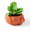 Rakshana Snail Planter