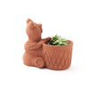 Rakshana Bear Planter