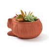 Rakshana Cat Planter